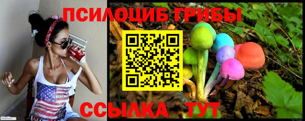 Йошкар-Ола  Галлюциногенные грибы Cubensis  магазин продажи наркотиков  Вход с VPN 